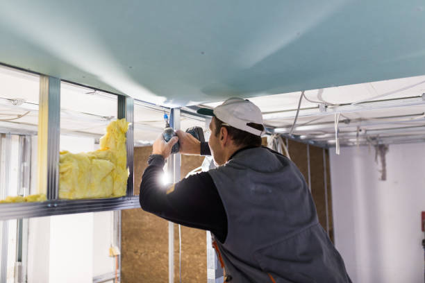Best Insulation Repair Services  in Brentwood, MO