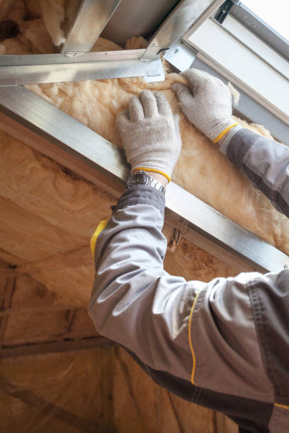 Best Attic Insulation Installation  in Brentwood, MO