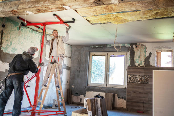 Best Professional Insulation Contractor  in Brentwood, MO