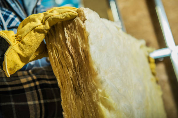 Best Best Insulation Companies  in Brentwood, MO