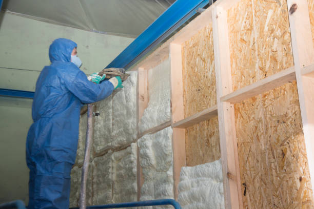 Best Attic Insulation Installation  in Brentwood, MO