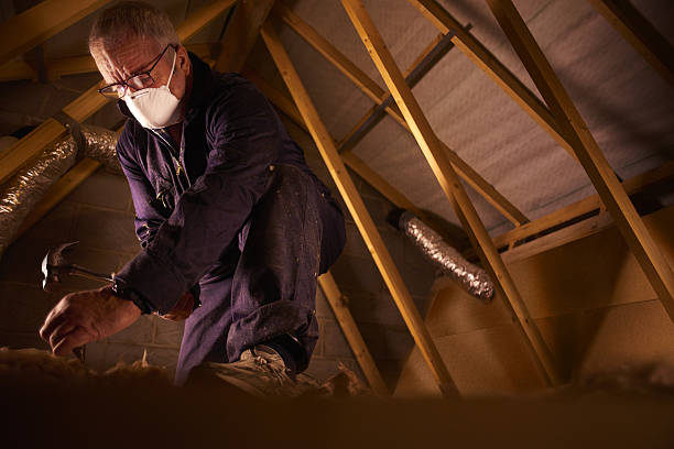 Best Insulation Inspection Services  in Brentwood, MO
